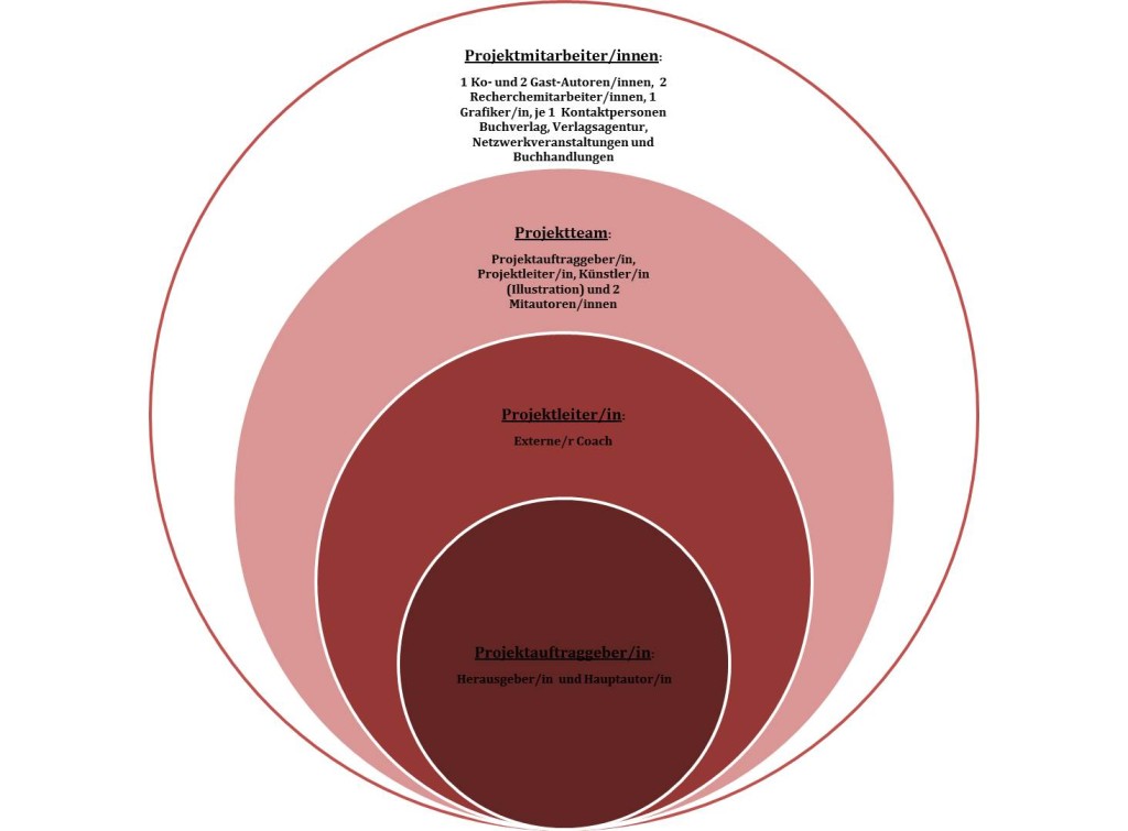 Grafik Projektorganisation